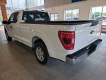 2021 F-150 Thumbnail 11