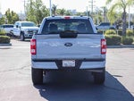 2023 F-150 Thumbnail 5