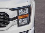 2023 F-150 Thumbnail 10