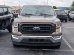 2021 F-150 Thumbnail 4