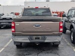 2021 F-150 Thumbnail 5