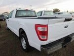 2023 F-150 Thumbnail 4