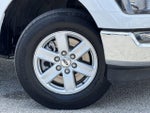 2023 F-150 Thumbnail 3
