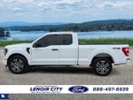 2023 F-150 Thumbnail 6
