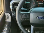 2023 F-150 Thumbnail 14