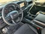 2023 F-150 Thumbnail 20