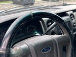 2010 F-150 Thumbnail 1