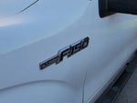 2010 F-150 Thumbnail 10