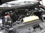 2020 F-150 Thumbnail 12