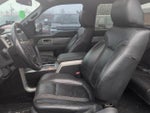 2010 F-150 Thumbnail 8