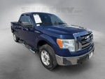 2010 F-150 Thumbnail 2