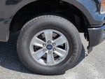 2015 F-150 Thumbnail 20
