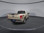 2017 F-150 Thumbnail 7