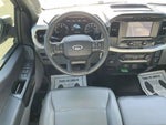 2021 F-150 Thumbnail 12