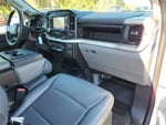 2021 F-150 Thumbnail 14