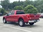2021 F-150 Thumbnail 5