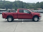 2021 F-150 Thumbnail 8