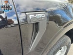 2022 F-150 Thumbnail 11