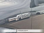 2014 F-150 Thumbnail 10