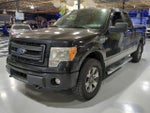 2014 F-150 Thumbnail 1