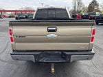 2012 F-150 Thumbnail 6