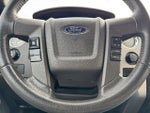 2012 F-150 Thumbnail 15