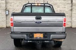 2014 F-150 Thumbnail 5