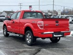 2014 F-150 Thumbnail 13