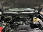 2013 F-150 Thumbnail 10