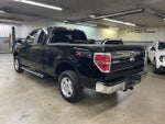 2013 F-150 Thumbnail 5