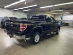 2013 F-150 Thumbnail 8