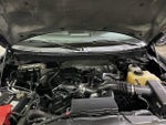 2013 F-150 Thumbnail 10
