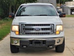 2014 F-150 Thumbnail 2