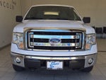 2014 F-150 Thumbnail 2