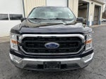 2021 F-150 Thumbnail 3