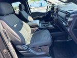 2021 F-150 Thumbnail 12
