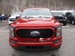 2023 F-150 Thumbnail 8