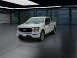 2023 F-150 Thumbnail 4