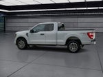 2023 F-150 Thumbnail 6