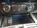 2019 F-150 Thumbnail 12