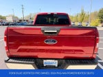 2020 F-150 Thumbnail 8