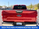 2020 F-150 Thumbnail 8