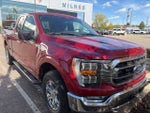 2021 F-150 Thumbnail 2