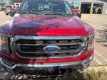 2021 F-150 Thumbnail 3
