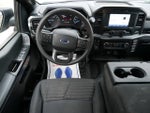 2021 F-150 Thumbnail 9