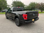 2023 F-150 Thumbnail 7