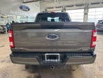 2023 F-150 Thumbnail 4
