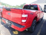 2023 F-150 Thumbnail 3