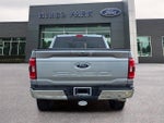 2023 F-150 Thumbnail 6