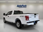 2015 F-150 Thumbnail 5